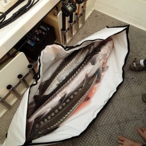 Kill bag
