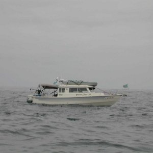 (Mason C. Bailey) Viking Lady, spotted fishing off of Neah Bay, I think this was May 18th, 2004.