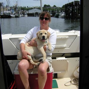 Our new yellow lab Scout, on his first boat ride with my wife Tina.  Leaving the Everett marina 6/17/05