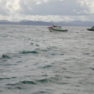 The second of three C-Dory's I saw at Neah Bay for the halibut openor.  Who are you?
