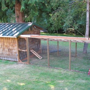 This was Mason's cabin when he was small, located down at the creek.  It's now our chicken coop. 2008