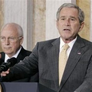 bush8