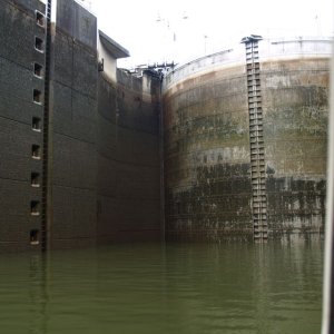 It is truly amazing how quickly the waters are evacuated from the lock.  We started at one block being visible on the left, and in minutes there are 10 and more to come!