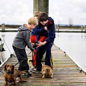 Photo from the Everett Herald.  Dalton, Parker and Logan taking care of the dogs while I am staging the rig on the launch.  A roaming reporter from the Herald happened to take this photo