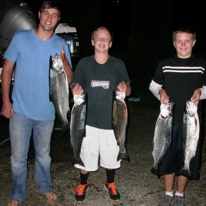 Shipwreck Coho, caught these 5 on 9/1 all 85 - 105' down caught on white UV squid with green twinkle skirt.  3 more caught on 9/2 (Sunday on Labor Day weekend).  9/1/2012
