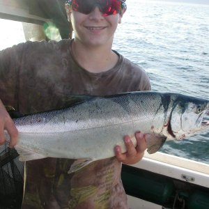 One of 4 ocean run coho caught at the shipwreck on Sunday, 9/1, caught on a green spatter back squid with a full size glow green hot shot flasher.  The other coho were caught on a uv white squid and UV flasher.  all fish caught @ 62', 70', 80', 85'.