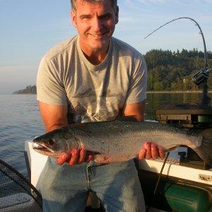 One of two coho caught at the shipreck near picknic pt.  This one was caught close to shore (140' of water) 85' down with uv flasher and white uv squid with hearring strip.  Shipwreck 9/15/2013