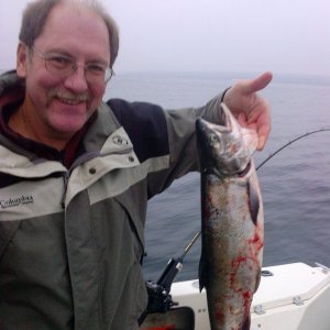 Dave's Chum, caught on a 4" kingfisher cookies & cream spoon in about 70' of water on the bottom.  Chums everywhere at Jeff Head yesterday rolling on the surface with lots of readings on the depth sounder.  Jeff Head Saturday 10/19/13