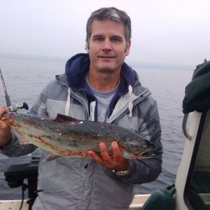 My blackmouth, 27"s caught @ 120' down on a 4" cookies & cream kingfisher spoon.  Many more subleagal BM, includings ones 21 1/2"s released.  Great day on the water.  Jeff Head Saturday 10/19/13