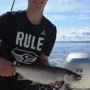 shipwreck coho.  9/8/15