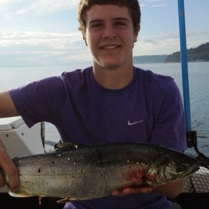 shipwreck Coho.  9/8/15