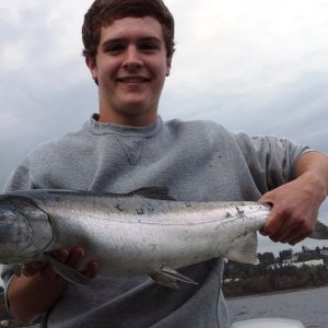 one of 3 coho on Friday after work.  90' on UV squid / flasher.  9/18/15
