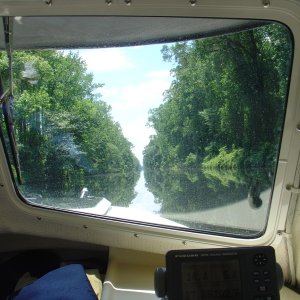 Dismal Swamp