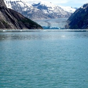 Media 'Dawes Glacier about 4nm away' in album 'Round Islet outside of Endicott Arm entrance'