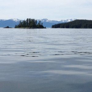 Media 'Round Islet and Harbor Island outbound from Endicott Arm' in album 'Round Islet outside of Endicott Arm entrance'