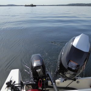 It also slows right down to a crawl.