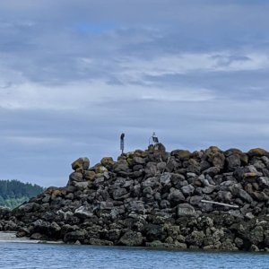 Point Roberts 3