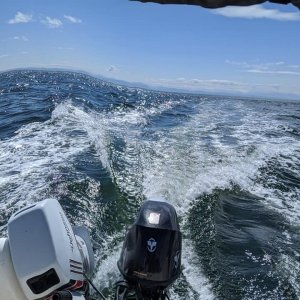 Point Roberts 4