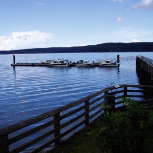 CatyMae - Sequim