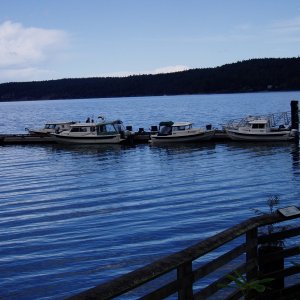CatyMae - Sequim