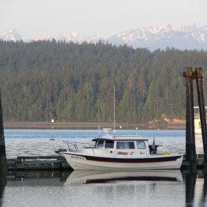 SleepyC and Olympic Mtns from Mystery Bay SP May 2009 Cal