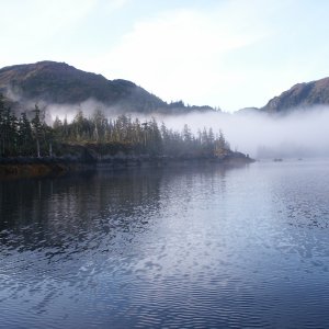 Three Finger Cove. Early AM as the fog burns off