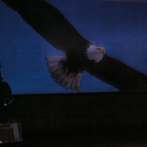 Coming in for a closer look, somewhere in PWS.