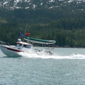 RedFox\'s Sport Hard top in action