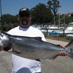 2010 chinook