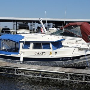 Media 'Carpy on the St John\'s River' in album 'Carpy on the St John\'s River'