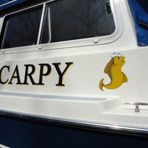 Media 'DSC00856' in album 'Carpy on the St John\'s River'