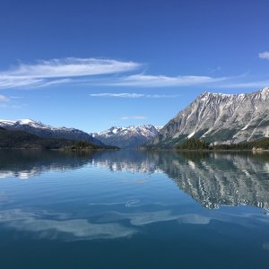 Looking up Williston Inlet