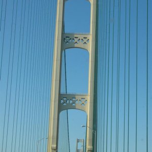 195