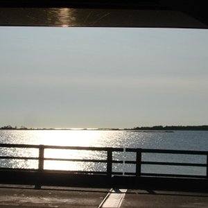 202
