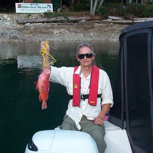 Media '(seabran) At the top of Homfrey is the entrance to Toba Inlet. Here there is a little resort - Wildernest. Snapper for dinner.' in album '(seabran) Karen and SeaSpray waiting for the ferry.'