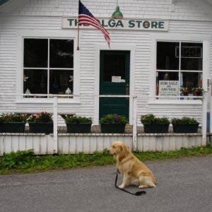The store was closed or I would have ice cream.