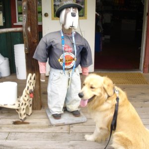 Dawson meeting a new friend at Snug Cove