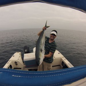 30lb. Yellowtail
