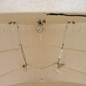 Harness