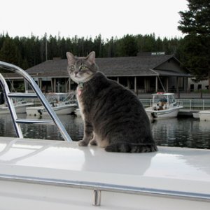 Media 'Molly on top of the boat, checking out the action' in album 'Crossing the Continental Divide, stopped for lunch'