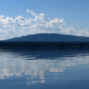 Reflections