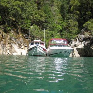 C-Dory and Cobalt boats bow shot