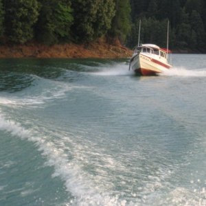 following in wake of Cobalt