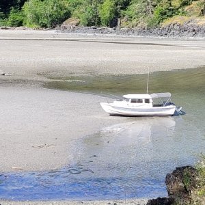 Waiting for the tide to go out, or maybe come back in ...