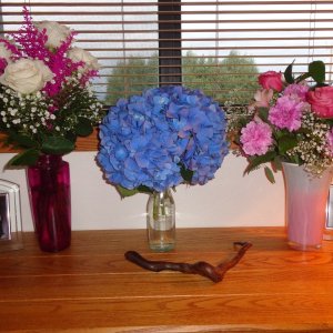 Beautiful flowers! Thanks to my daughters in-law, and their daughters.