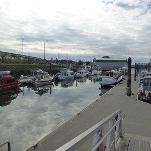 A busy marina on a Thursday afternoon departure.