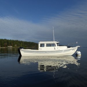 Friday morning at Turn Island
