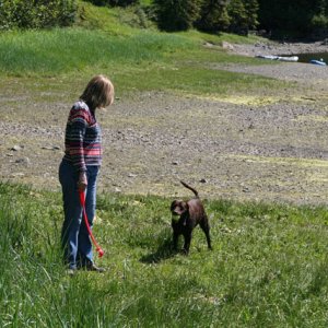 Playing fetch on the beach