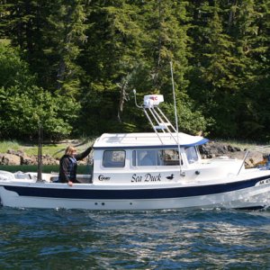 Media 'Sea Duck arriving' in album 'Coho Bidarka CBiscuit'