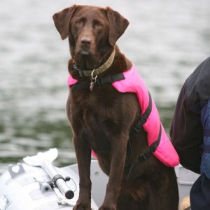 ShiRoz's first mate